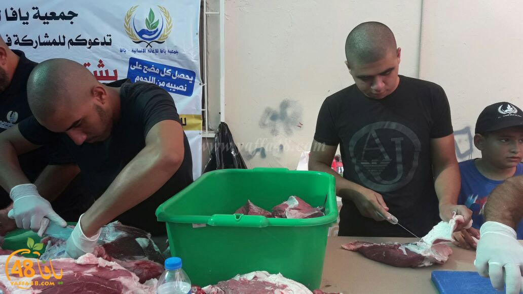 lod8om ada73y (69).jpg